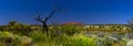 Uluru (Ayers Rock) Royalty Free Stock Photo